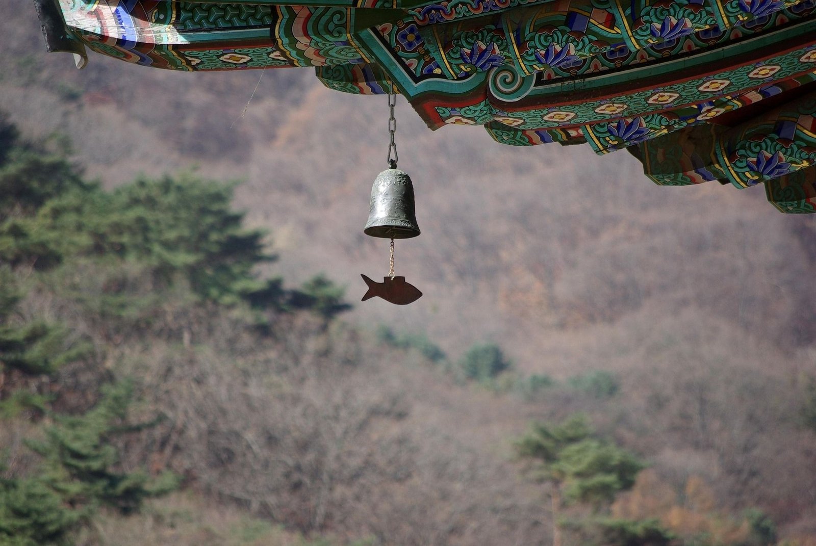 cloche